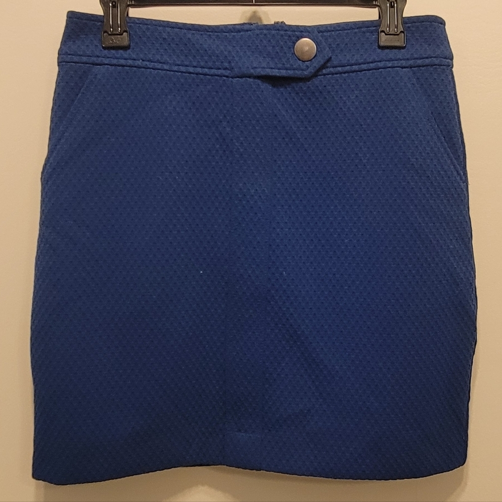 Banana Republic Blue Mini Skirt
